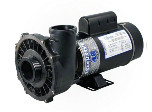 Waterway Executive 3 HP 2 Speed 48 Frame 230 Volt Pump 3421221-1A