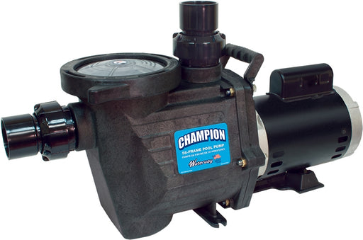 Waterway Plastics CHAMPS-220 2 HP 2-Speed Standard Efficiency In-Ground Pool Pump