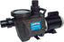 Waterway Plastics CHAMPS-220 2 HP 2-Speed Standard Efficiency In-Ground Pool Pump